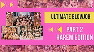 39 Hot Stars - Ultimate Blowjob Harem Edition Part 2 VR Porn Compilation by Privat Jet - PrivateJet