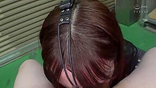 x1x379424CD98675239A3