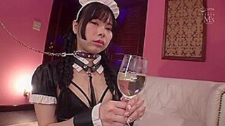 x1xDD8E19273C85E87EA3